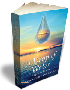 3D Book Cover for A Drop of Water - Yvonne Williams